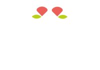 Logo da Libellula, agência de marketing digital em Juiz de Fora.
